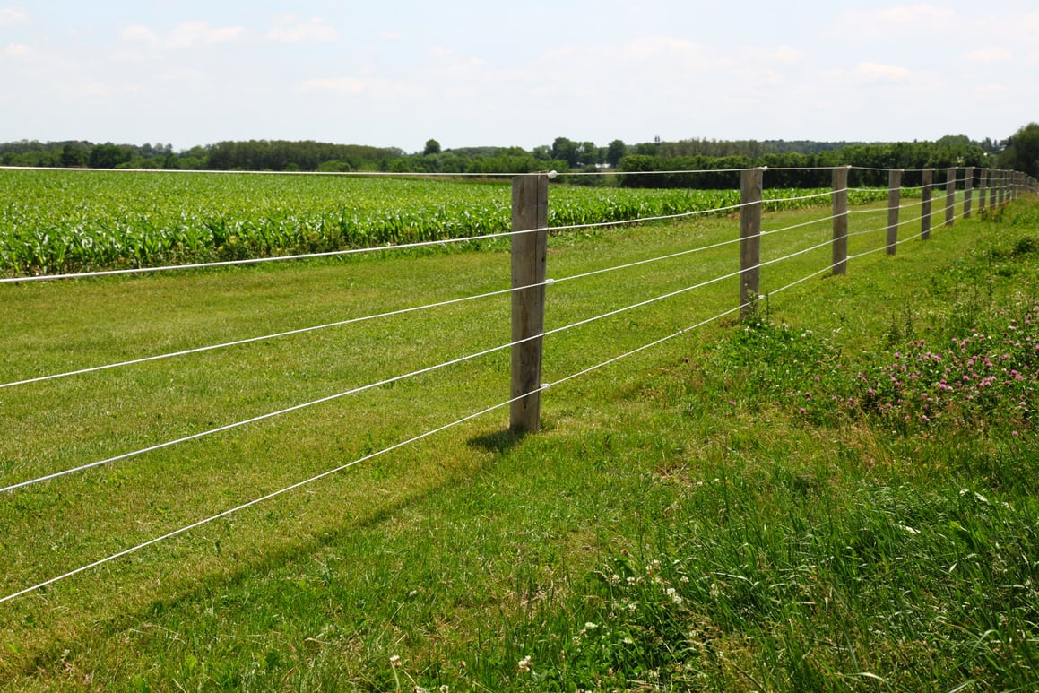 Electric Fence