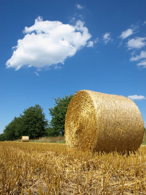 hay bale